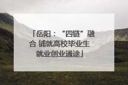 岳阳：“四链”融合 铺就高校毕业生就业创业通途