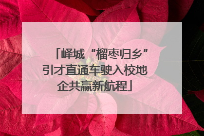 峄城“榴枣归乡”引才直通车驶入校地企共赢新航程