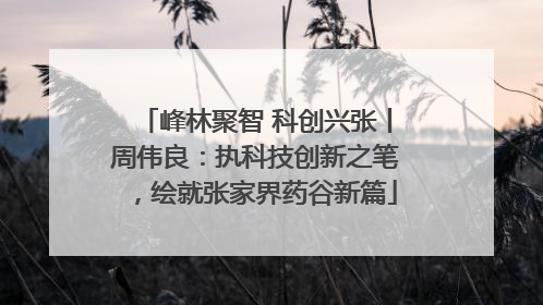 峰林聚智 科创兴张丨周伟良：执科技创新之笔，绘就张家界药谷新篇