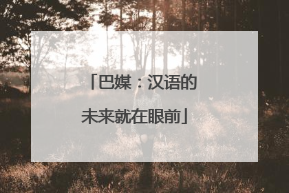 巴媒：汉语的未来就在眼前