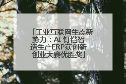 工业互联网生态新势力：AI 钉铛智造生产ERP获创新创业大赛优胜奖