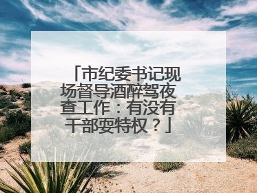 市纪委书记现场督导酒醉驾夜查工作：有没有干部耍特权？