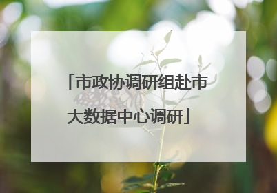 市政协调研组赴市大数据中心调研