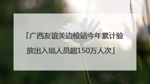 广西友谊关边检站今年累计验放出入境人员超150万人次