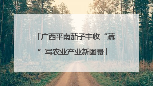 广西平南茄子丰收“蔬”写农业产业新图景