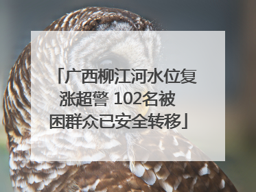 广西柳江河水位复涨超警 102名被困群众已安全转移