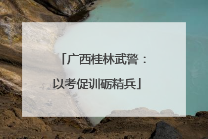 广西桂林武警：以考促训砺精兵