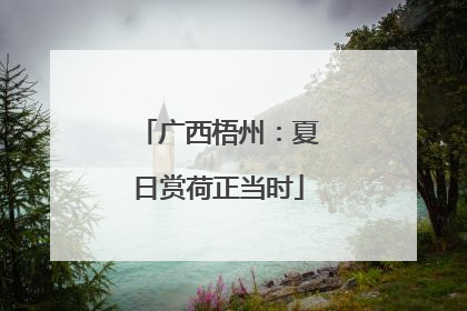 广西梧州：夏日赏荷正当时
