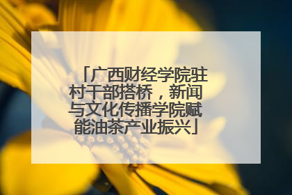 广西财经学院驻村干部搭桥，新闻与文化传播学院赋能油茶产业振兴