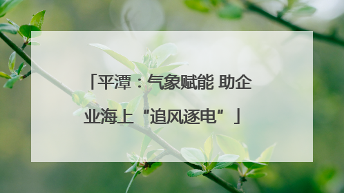 平潭：气象赋能 助企业海上“追风逐电”