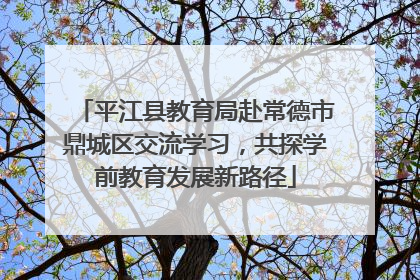平江县教育局赴常德市鼎城区交流学习，共探学前教育发展新路径