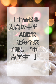 平高松雅湖高级中学：AI赋能，让每个孩子都是“重点学生”