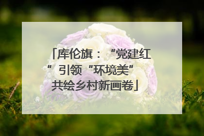 库伦旗：“党建红”引领“环境美” 共绘乡村新画卷