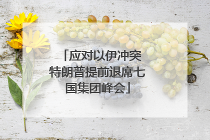 应对以伊冲突 特朗普提前退席七国集团峰会