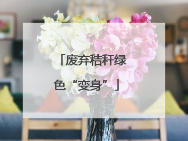 废弃秸秆绿色“变身”