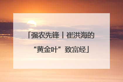 强农先锋丨崔洪海的“黄金叶”致富经