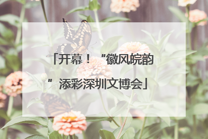 开幕！“徽风皖韵”添彩深圳文博会
