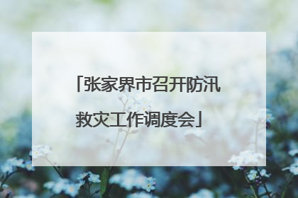 张家界市召开防汛救灾工作调度会