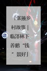 张掖乡村故事｜临泽林下养鹅“钱”景好