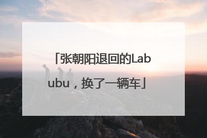 张朝阳退回的Labubu，换了一辆车