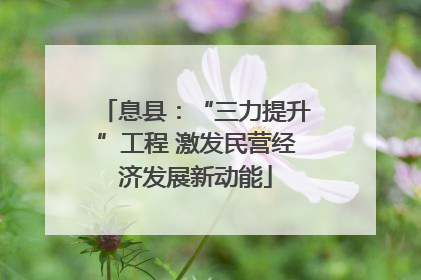 息县：“三力提升”工程 激发民营经济发展新动能