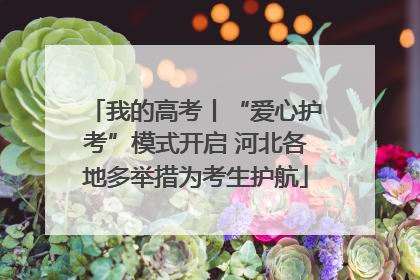 我的高考丨“爱心护考”模式开启 河北各地多举措为考生护航
