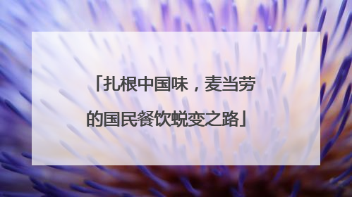 扎根中国味，麦当劳的国民餐饮蜕变之路