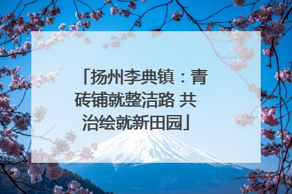 扬州李典镇：青砖铺就整洁路 共治绘就新田园