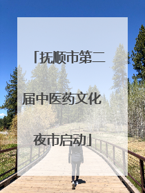 抚顺市第二届中医药文化夜市启动