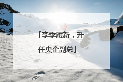 李季履新，升任央企副总