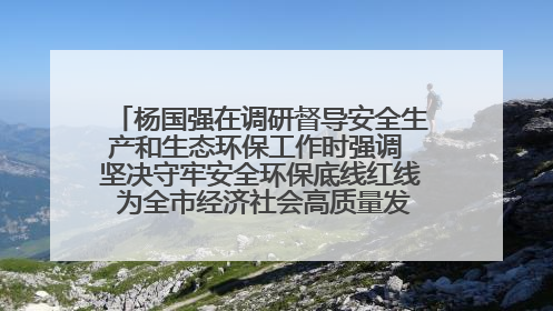杨国强在调研督导安全生产和生态环保工作时强调 坚决守牢安全环保底线红线 为全市经济社会高质量发展提供坚强保障