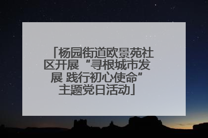 杨园街道欧景苑社区开展“寻根城市发展 践行初心使命”主题党日活动