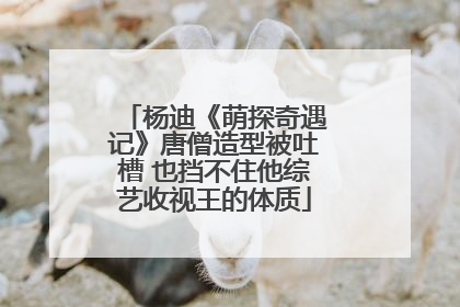 杨迪《萌探奇遇记》唐僧造型被吐槽 也挡不住他综艺收视王的体质