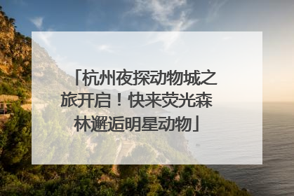杭州夜探动物城之旅开启！快来荧光森林邂逅明星动物