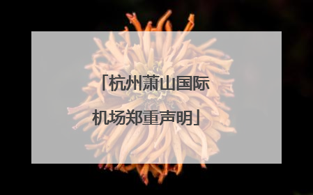 杭州萧山国际机场郑重声明