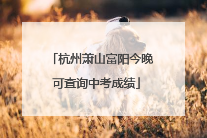 杭州萧山富阳今晚可查询中考成绩