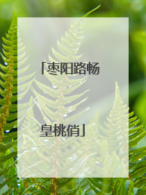 枣阳路畅皇桃俏