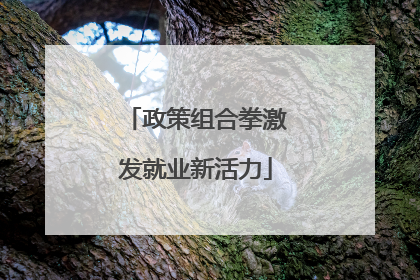 政策组合拳激发就业新活力