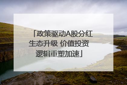 政策驱动A股分红生态升级 价值投资逻辑重塑加速