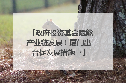 政府投资基金赋能产业链发展！厦门出台促发展措施→