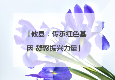 攸县：传承红色基因 凝聚振兴力量