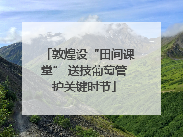 敦煌设“田间课堂” 送技葡萄管护关键时节
