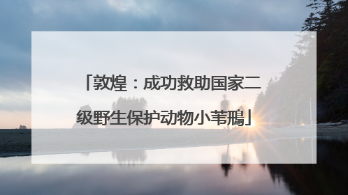 敦煌：成功救助国家二级野生保护动物小苇鳽