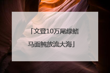 文登10万尾绿鳍马面鲀放流大海