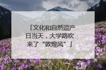 文化和自然遗产日当天，大学路吹来了“敦煌风”