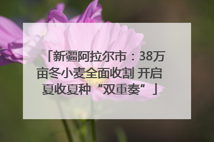 新疆阿拉尔市：38万亩冬小麦全面收割 开启夏收夏种“双重奏”