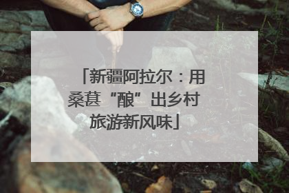 新疆阿拉尔：用桑葚“酿”出乡村旅游新风味