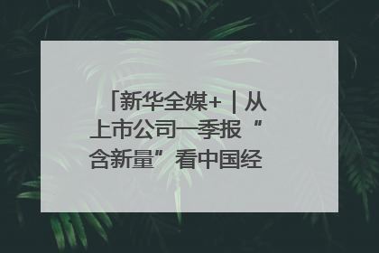 新华全媒+｜从上市公司一季报“含新量”看中国经济发展向“新”