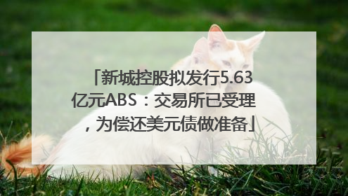 新城控股拟发行5.63亿元ABS：交易所已受理，为偿还美元债做准备