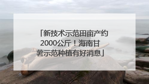 新技术示范田亩产约2000公斤！海南甘薯示范种植有好消息